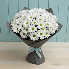 Букет цветов из:  Хризантемы #REPLACE_PRED# Покровском Ставропольского края