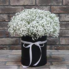 Цветочная композиция из Гипсофила в шляпной коробке в Покровском Ставропольского края